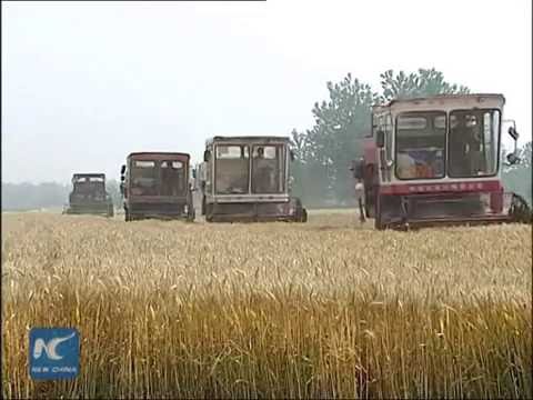Rural Chinese Farmers