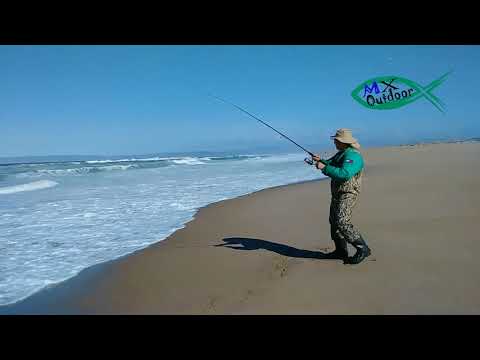 Fishing Trip to Guadalupe Beach for Surf Perch.