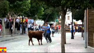 preview picture of video 'Cebreros Fiestas de Agosto 2012'