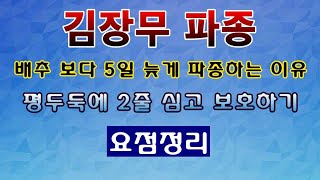 [텃밭농부 1,659]  김장무 파종하고 보호하는 요점별 정리. 배추 보다 5일 늦게 심는 이유. #김장무 …