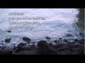 "Enamorado"(Lyrics) - by The Sandpipers 