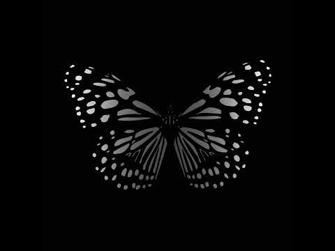 @NoyaNoBeat, @IzaiasSantosOficial - FLASH (Àudio)