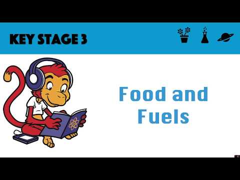 Food and Fuels
