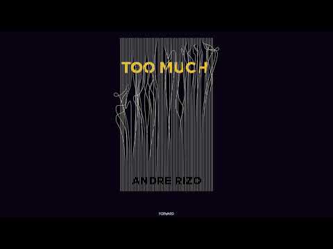 Andre Rizo - Too Much (Original Mix)