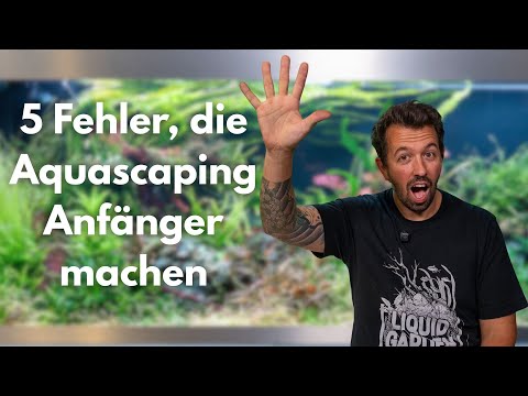 5 mistakes aquascaping beginners make!