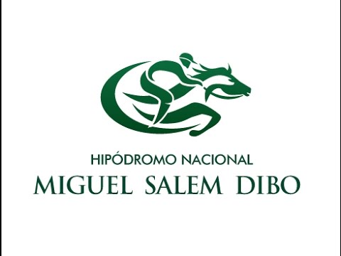 Carreras en Vivo - Domingo 24 de Abril, 2016