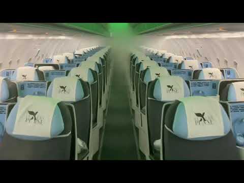 Mc Calvin TJEGA Luxuxy Plane