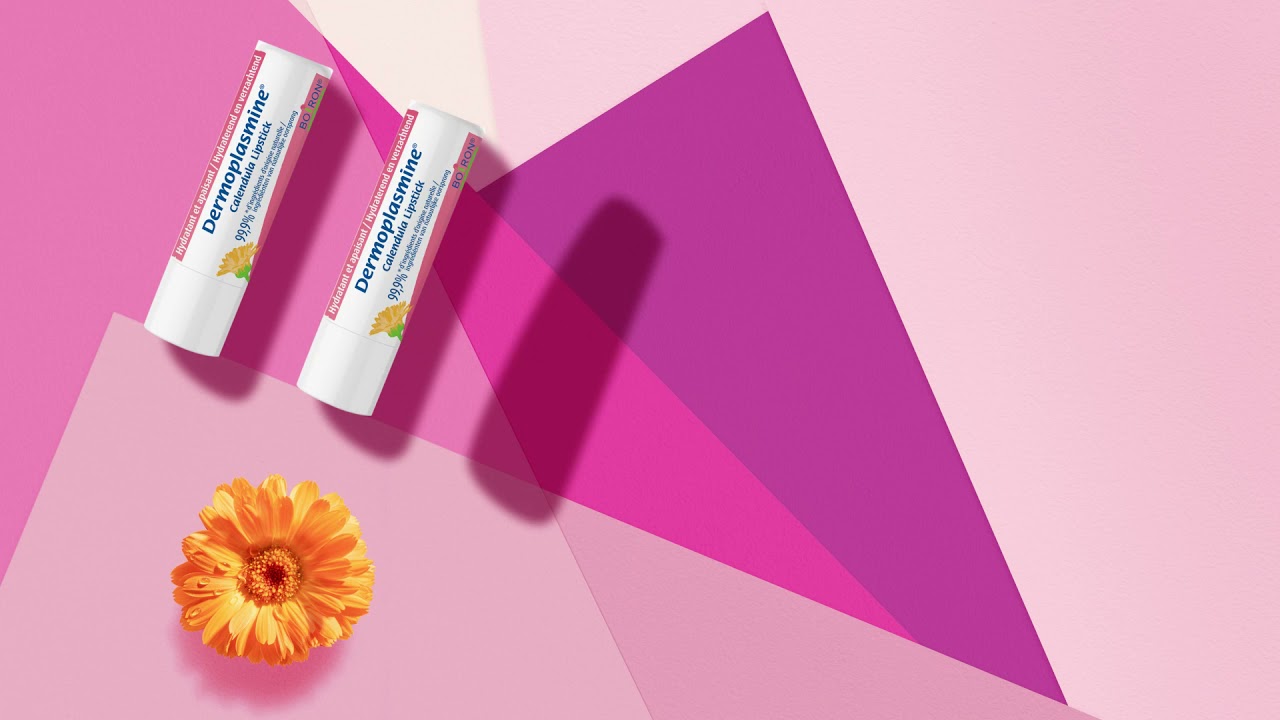 Boiron Dermoplasmine stick lèvres