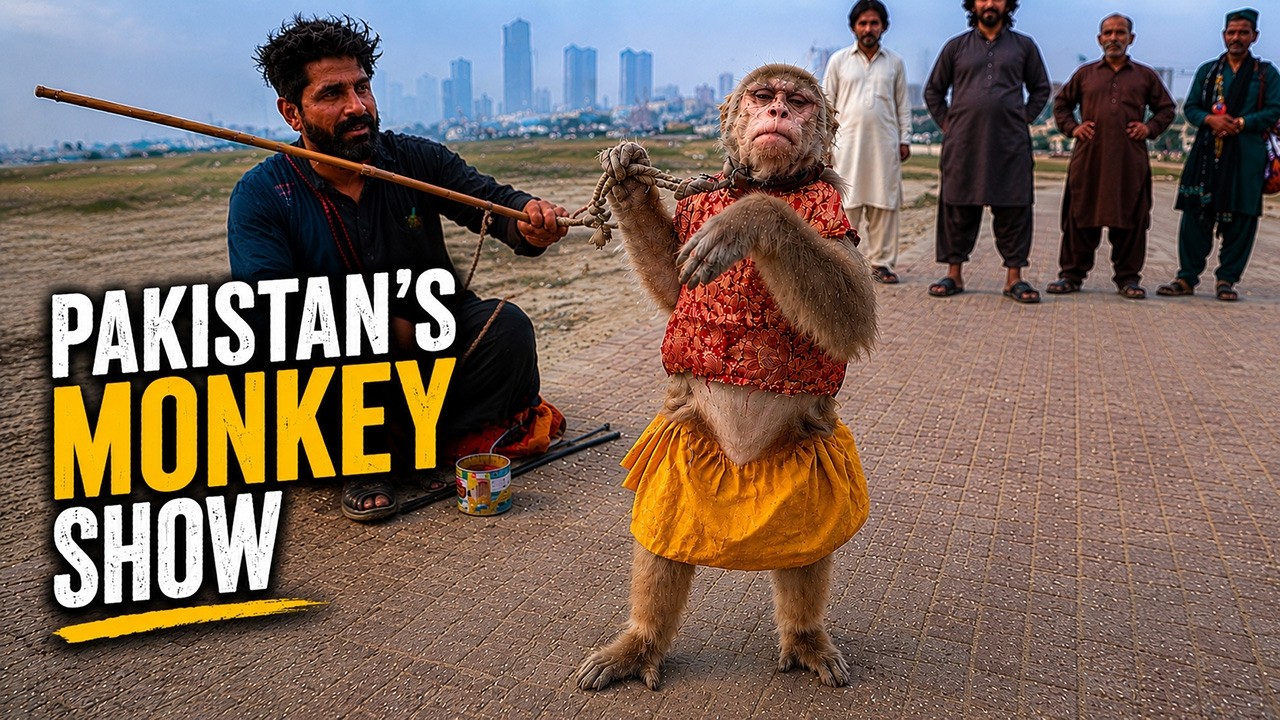 Problematic Pakistani Monkey Show