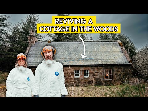 Renovating a SECLUDED House in the Woods (Ep 3)