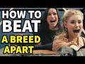 How To Beat INFLUENCER DOG ISLAND In A Breed Apart