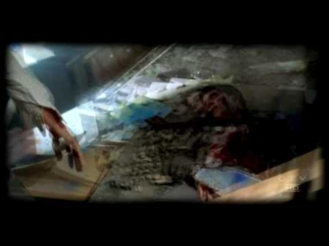 CSI NY - Bruises - Team Video