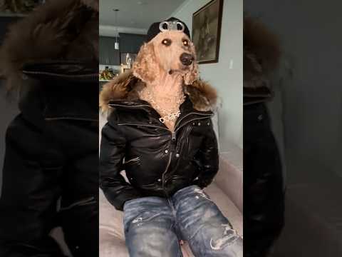 I don’t share my treats