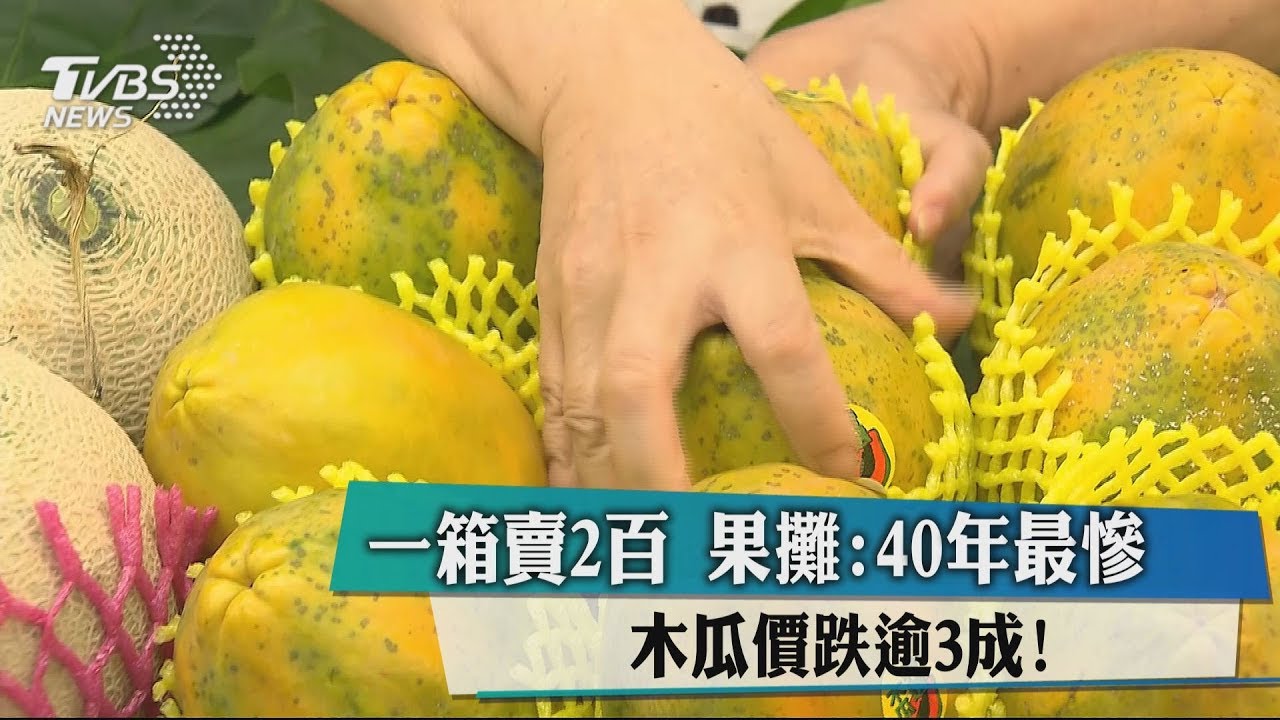 木瓜價跌逾3成!一箱賣200元 果攤:40年最慘