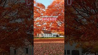 How to Spend a Perfect Fall Day in Chicago: Hyde Park, Jackson Park, Promontory Point #chicago #fall