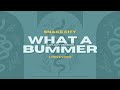 Snake City What A Bummer Explicit Version Lyrics Video Unofficial