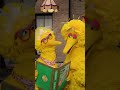 Big Bird And Granny Read Goldiquacks And The Three Birds Sesamestreet