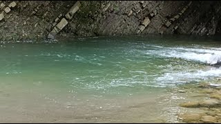 Rio de tlalnepanco hidalgo está en vivo