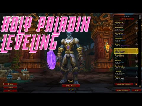 Holy Paladin Leveling!