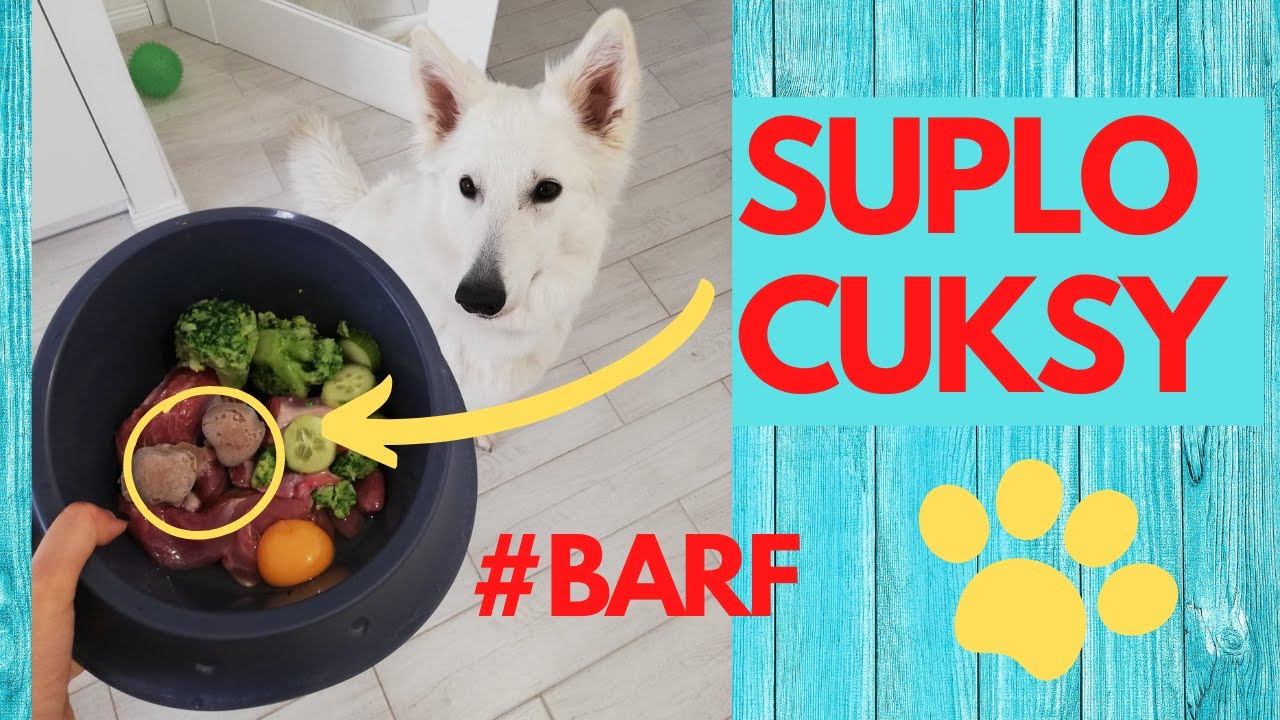 SUPLOCUKSY - szybki TRIK! Jak ułatwić sobie życie, karmiąc psa BARFem 🍗