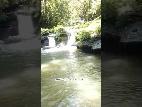 Que les parece está cascada en medio de la #selva #napo #tena