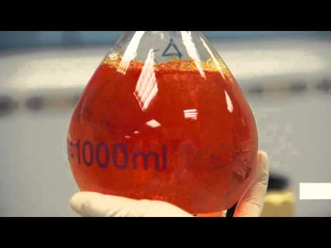 download lagu mp3 mp4 Triselecta Saffron, download lagu Triselecta Saffron gratis, unduh video klip Triselecta Saffron