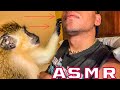ASMR Monkey Hypnotize ASMR Sounds Triggers Spit Painting