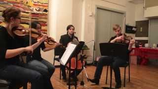 Call Me Maybe (Special Arrangement) - The Tardis Quartet