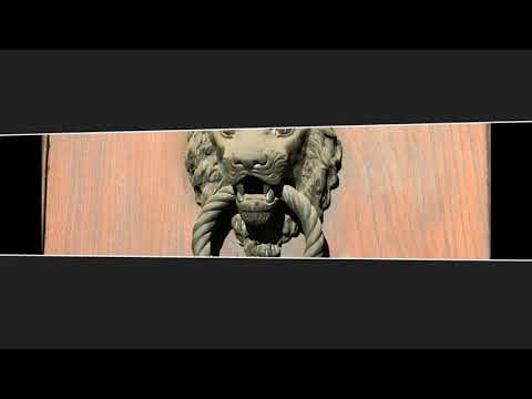 A Night at Palaverde - Home of Imoco Volley Conegliano