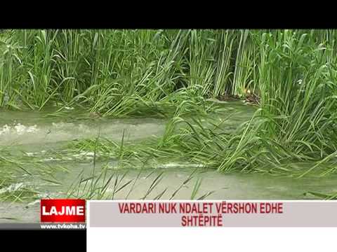 VARDARI NUK NDALET VËRSHON EDHE SHTËPIT