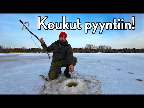 Setting lines for burbot in Finland at Baltic Sea!