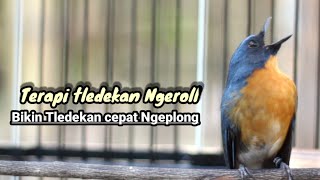 Download lagu TERAPI BUNYI TLEDEKAN GUNUNG CEPAT NYAUT GACOR mp3 Download lagu TERAPI BUNYI TLEDEKAN GUNUNG CEPAT NYAUT GACOR mp3