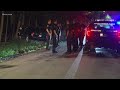 Two men, one a capital murder suspect, pistol-whip woman during carjacking, police say