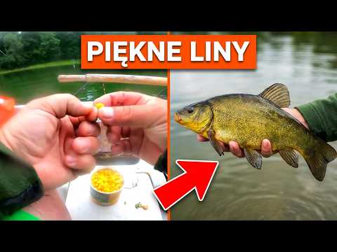 PL Piękne liny na spławik