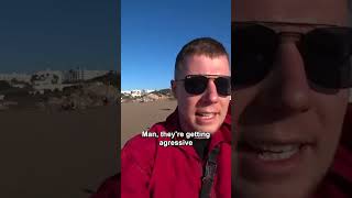 Horse ride in Morocco gone wrong! 🇲🇦