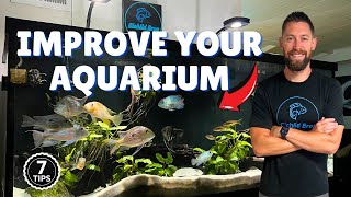 7 Easy Ways to Make Your Aquarium Look Better (Cheap & Simple Fixes)