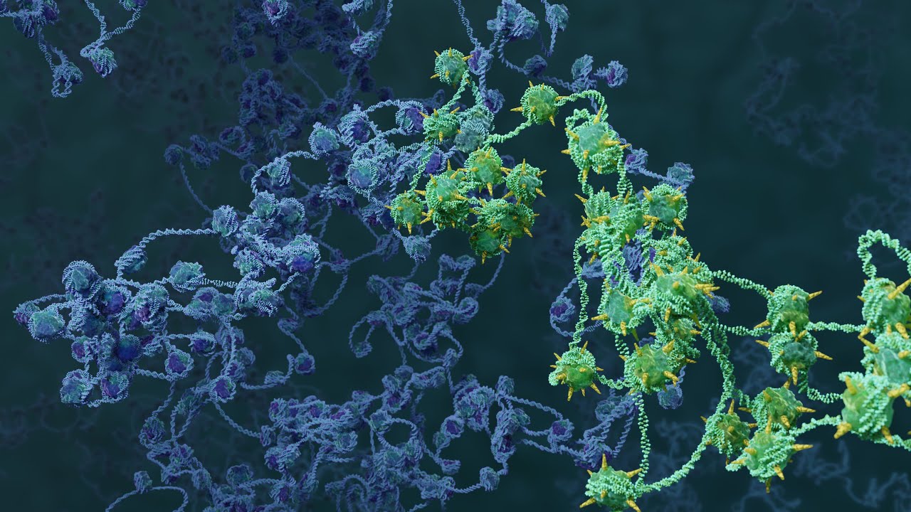 We are more than our DNA!  A New Source of Biological Information in 3D Chromosome Folding