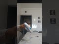 Pato Coxinha De Papel Shorts