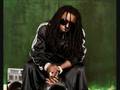 Lil Wayne Ft. Tyga - California Love 