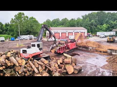 ASMR 4k wood yard Bandit Beast grind time!