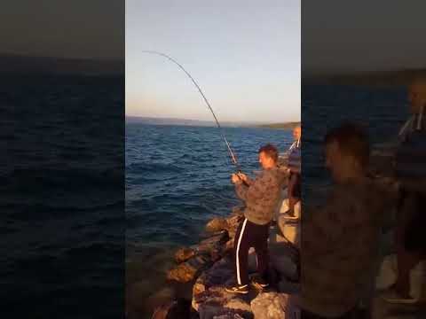 Som 30 kg (Big Catfish 30 kg)_Buško jezero