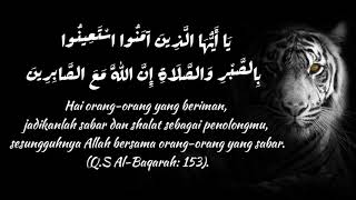 Download lagu story wa macan putih dan hadist tentang kesabaran mp3