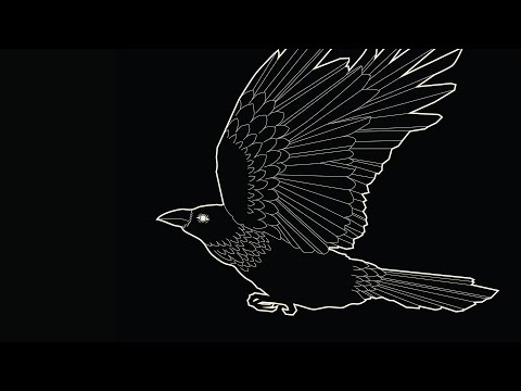 mxrningstar - бадамлянхуа (lyric video)