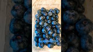 Humongous Blueberries