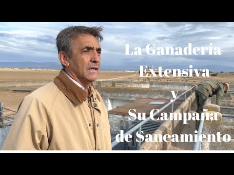 😱Ganadería Extensiva y Su Campaña de Saneamiento