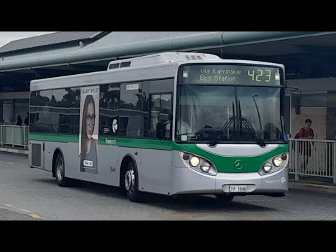 Transperth TP1846