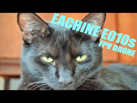 Eaching E010s - Funny Cat drone Video - FPV Micro Drone - Cat Song