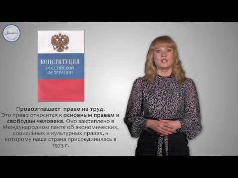 Право на труд. Трудовые правоотношения