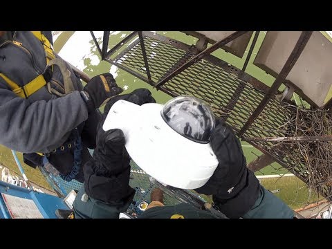 Behind the Scenes look at the Cornell Lab of Ornithology Hawk Cam