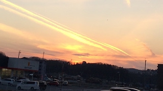 葉言 の のライブ ストリーム